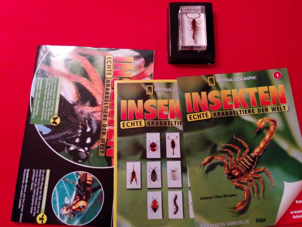 lebendeinsekten1