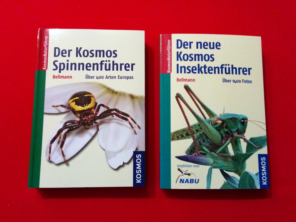 insektenführer