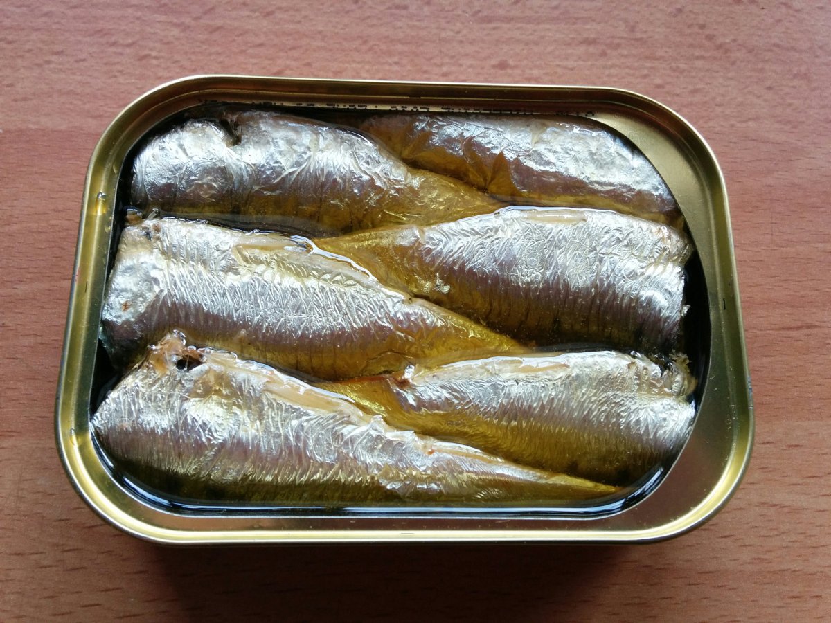 sardinen_01